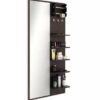 Reflecs Garnet Series Living Mirror with Shelf and Hanger GTMHS4x2